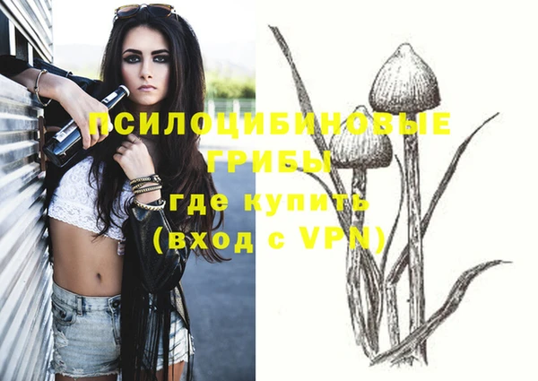 молекула духа Остров